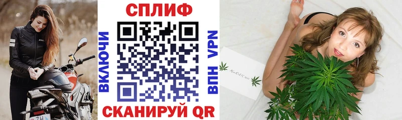 Наркошоп купить Амфетамин  Меф  Гашиш  Канабис  Новый Оскол